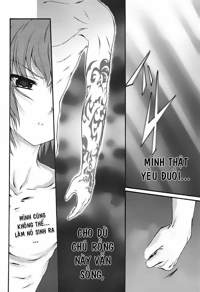 Seikoku No Dragonar Chapter 1 trang 40