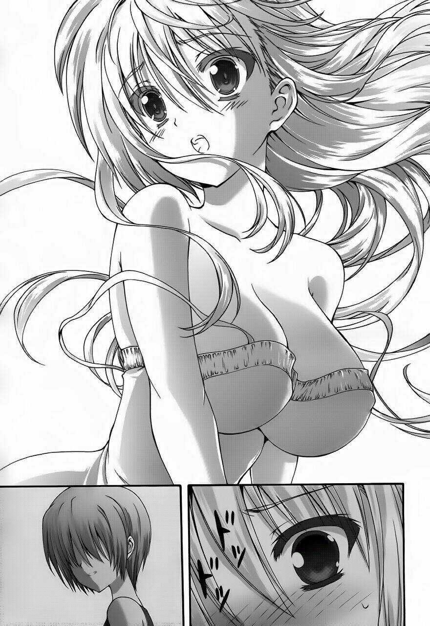 Seikoku No Dragonar Chapter 11 trang 13