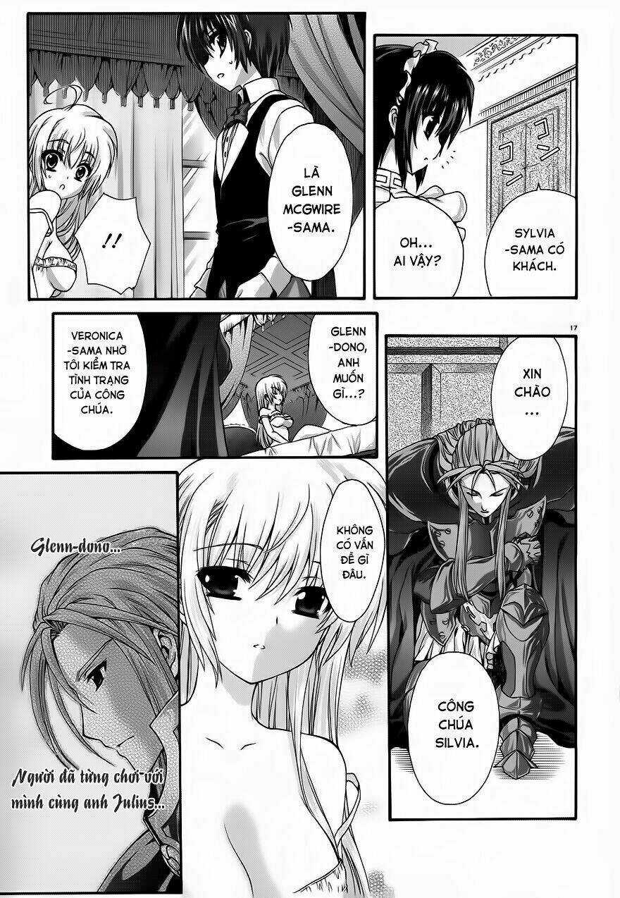 Seikoku No Dragonar Chapter 11 trang 15