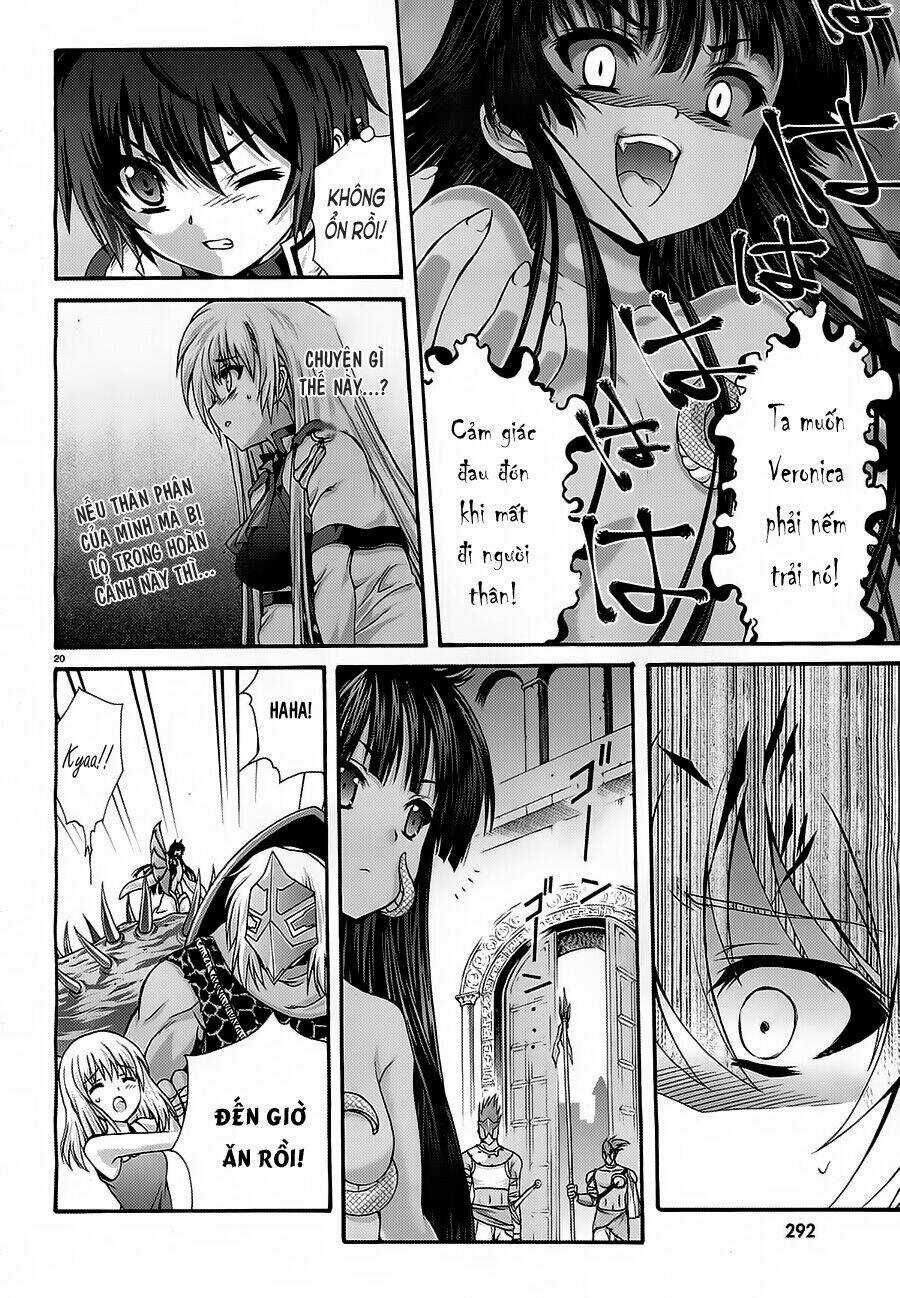 Seikoku No Dragonar Chapter 13 trang 19