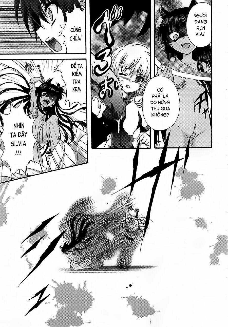 Seikoku No Dragonar Chapter 13 trang 24