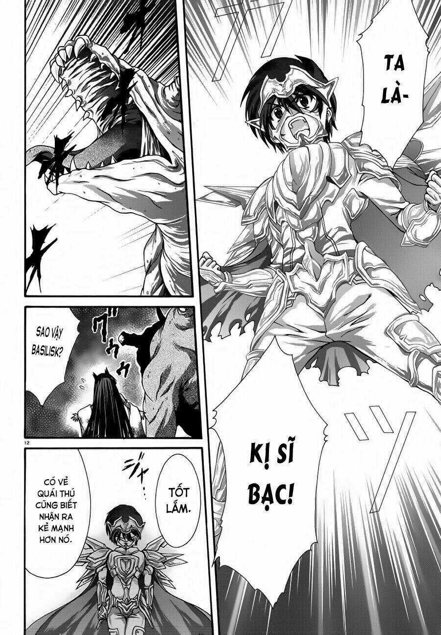 Seikoku No Dragonar Chapter 14 trang 12