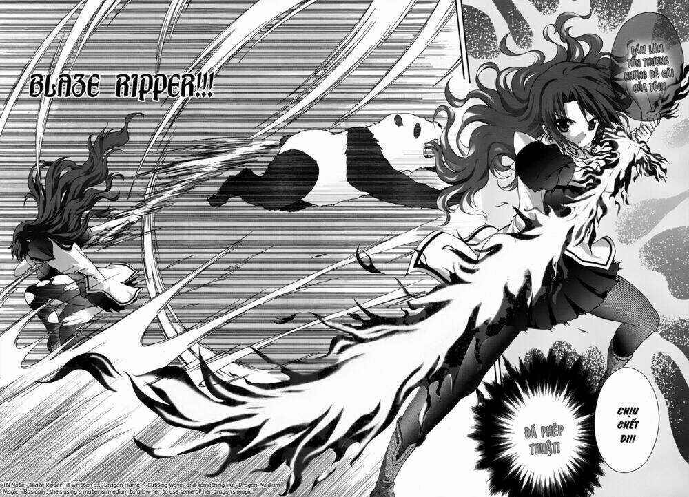 Seikoku No Dragonar Chapter 15 trang 20