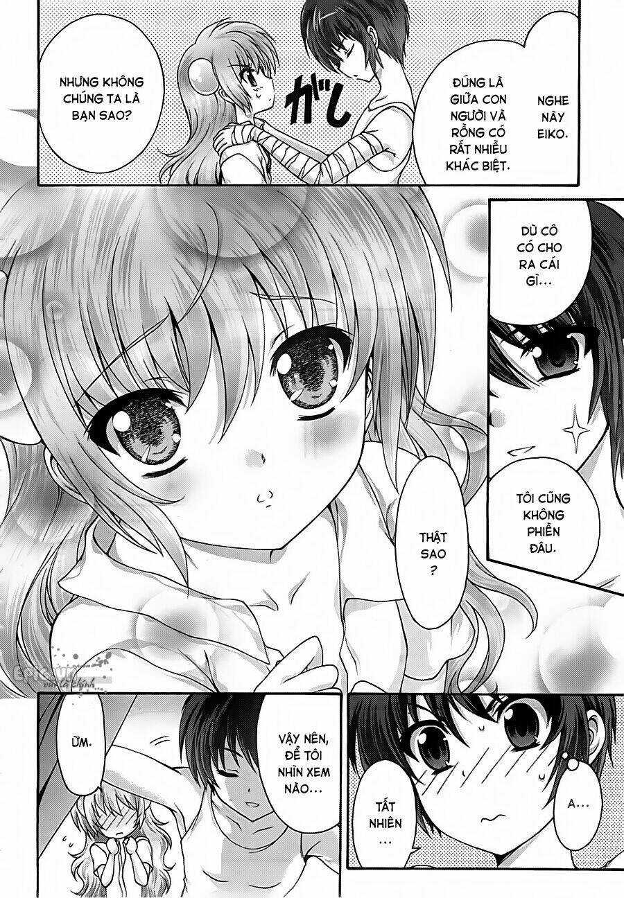 Seikoku No Dragonar Chapter 16 trang 8