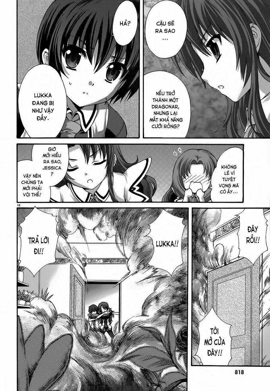 Seikoku No Dragonar Chapter 17 trang 18