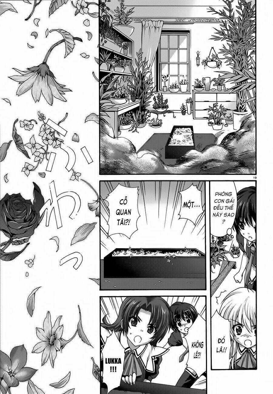 Seikoku No Dragonar Chapter 17 trang 19