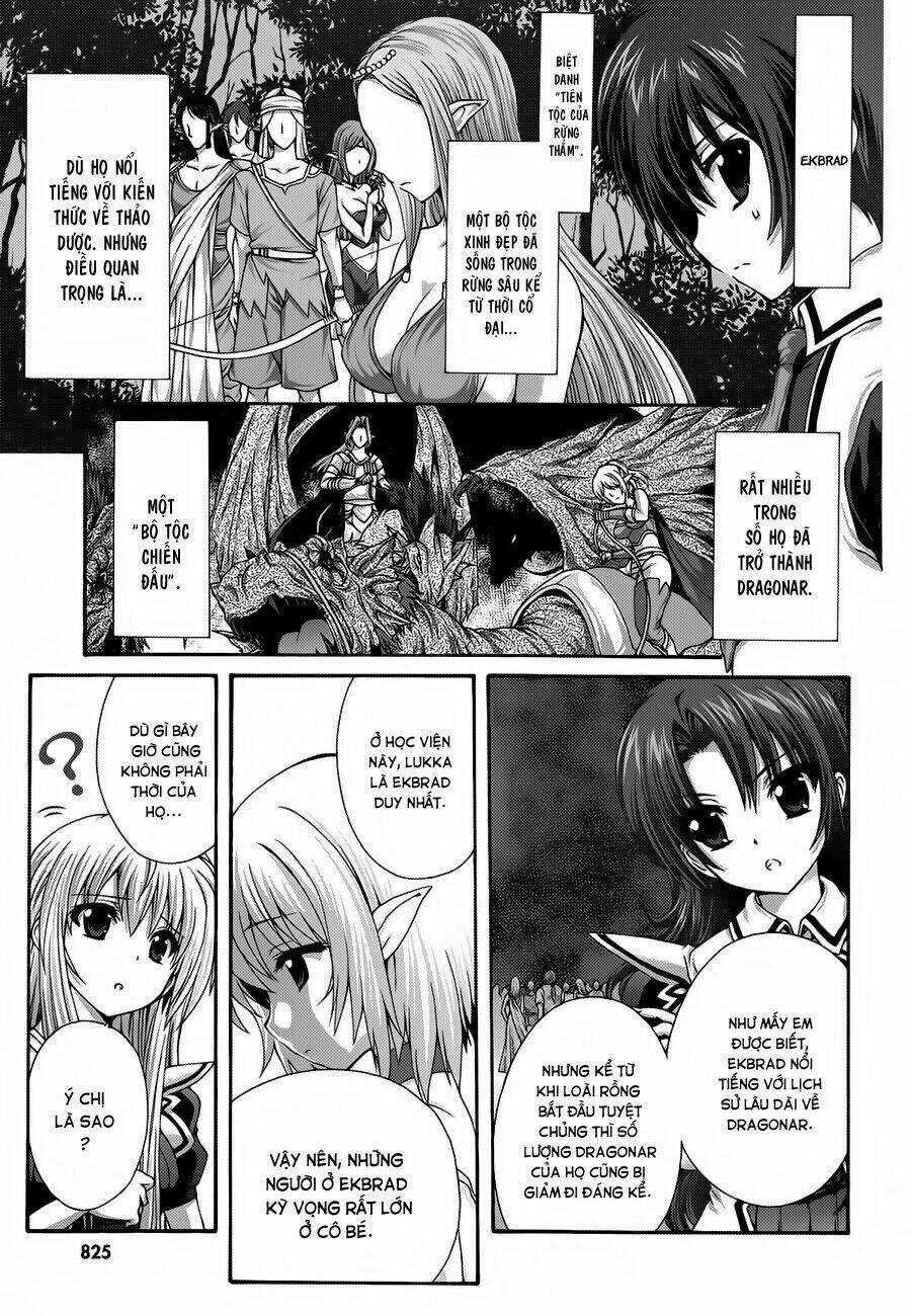 Seikoku No Dragonar Chapter 17 trang 24