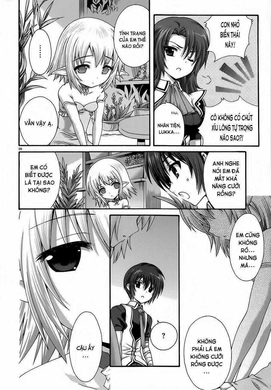 Seikoku No Dragonar Chapter 17 trang 27