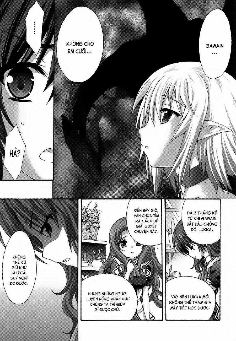 Seikoku No Dragonar Chapter 17 trang 28