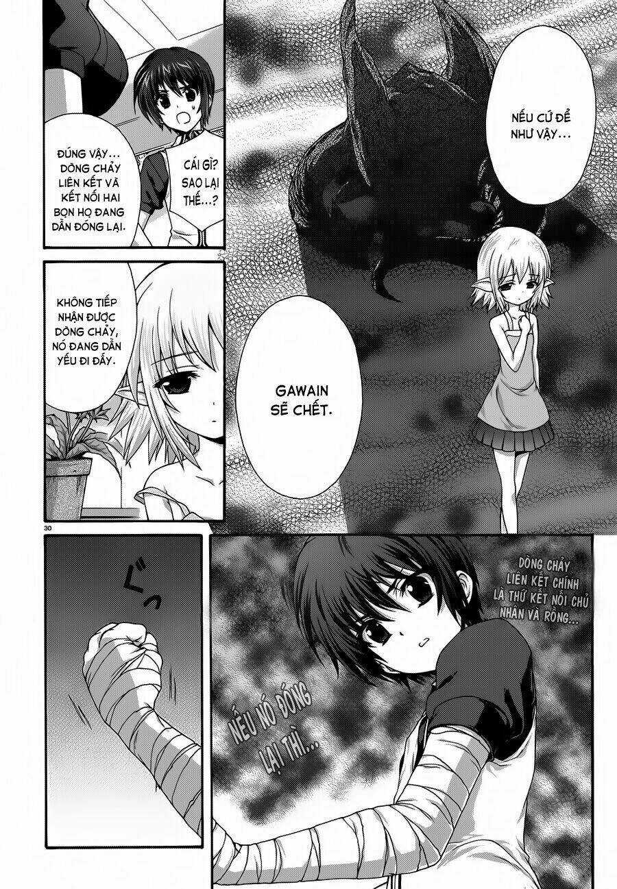 Seikoku No Dragonar Chapter 17 trang 29