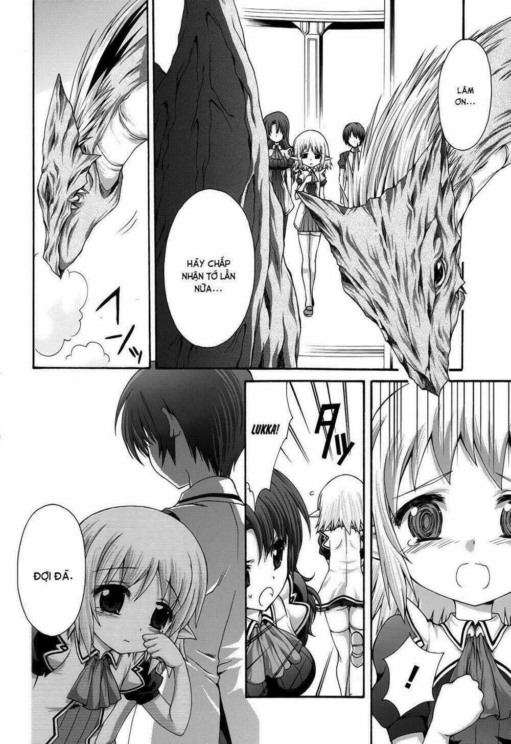 Seikoku No Dragonar Chapter 18 trang 12