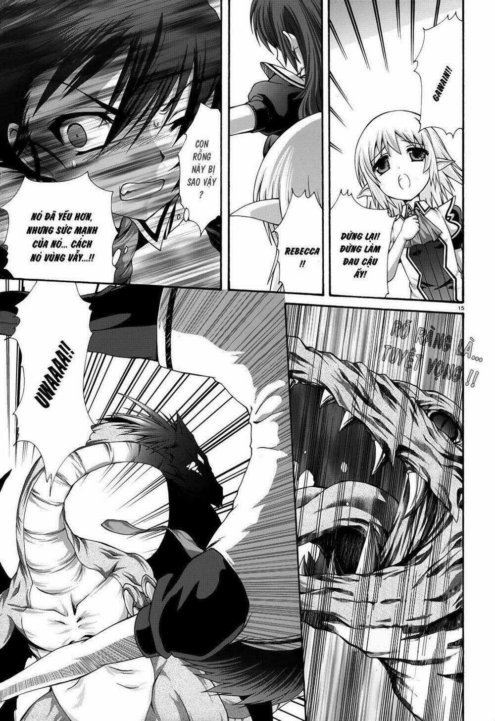 Seikoku No Dragonar Chapter 18 trang 15