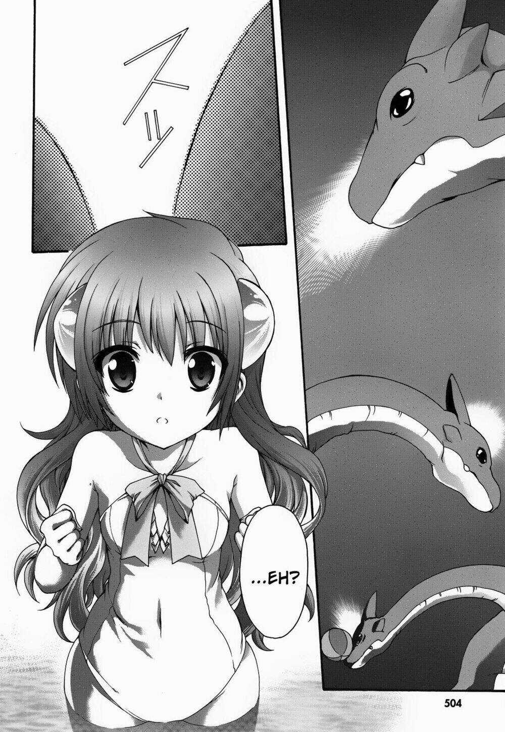 Seikoku No Dragonar Chapter 19 trang 14