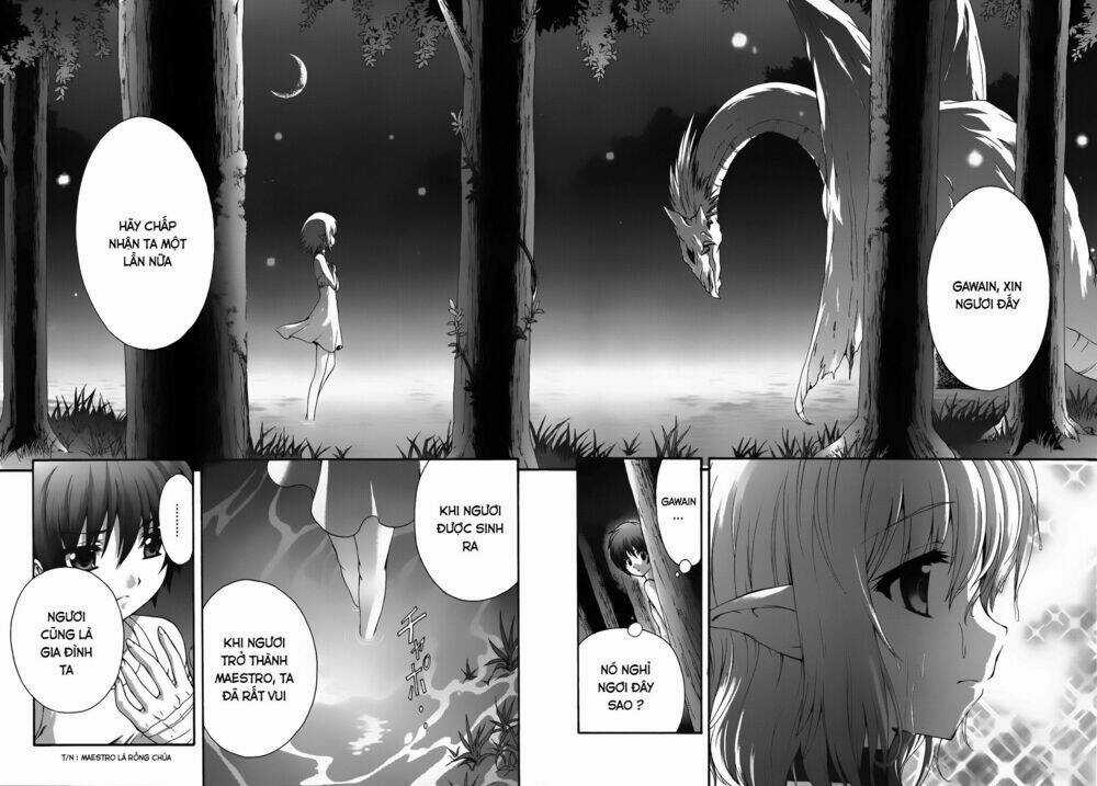 Seikoku No Dragonar Chapter 19 trang 21