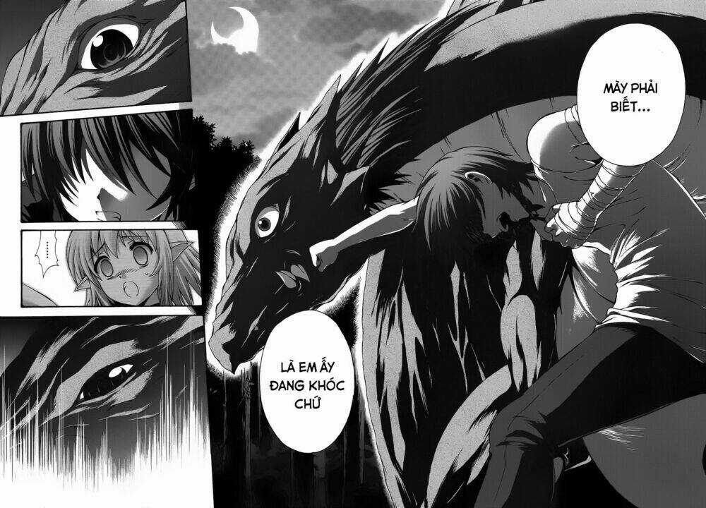 Seikoku No Dragonar Chapter 19 trang 26