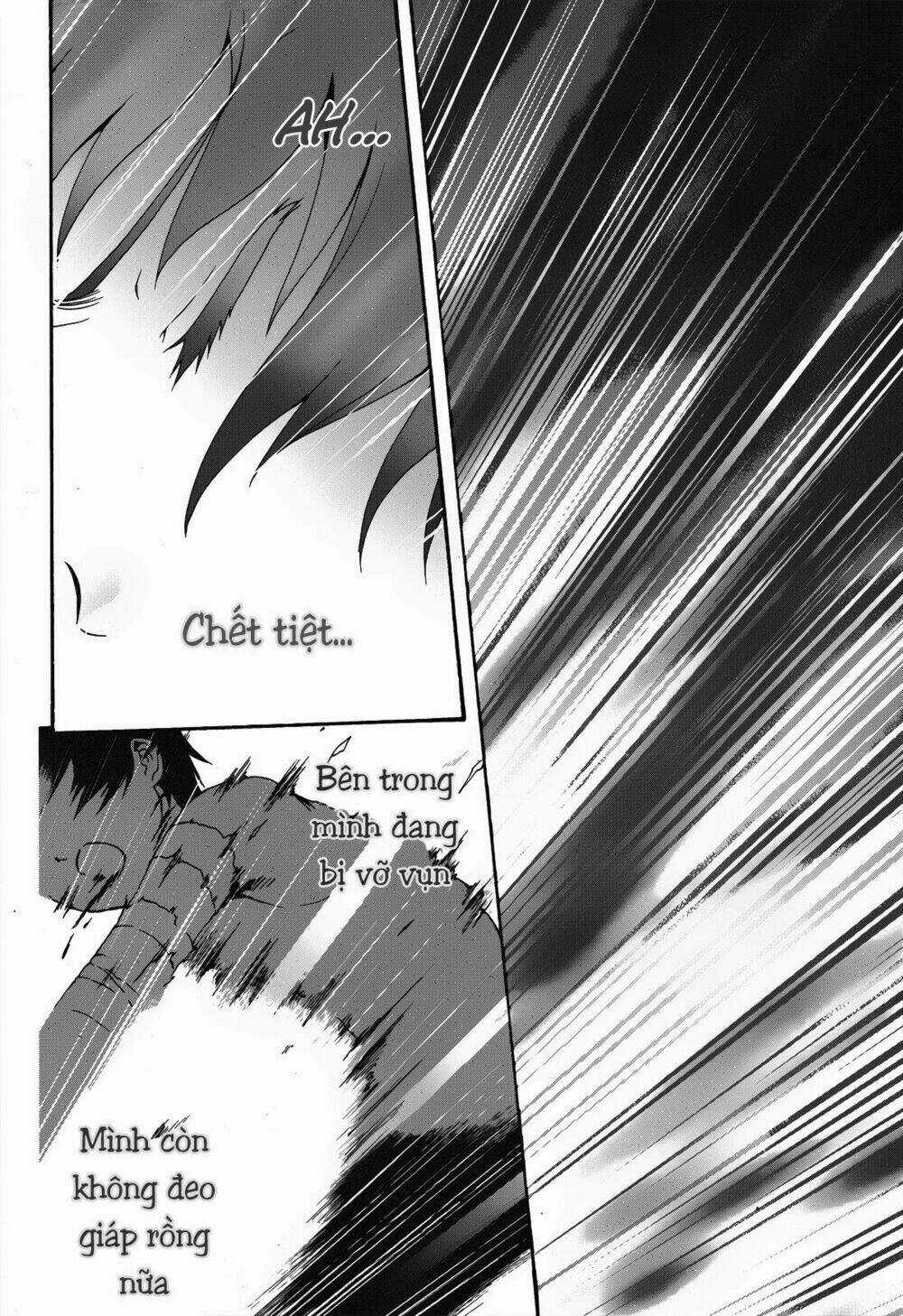 Seikoku No Dragonar Chapter 19 trang 27