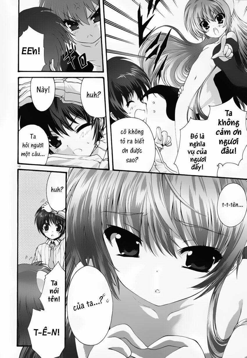 Seikoku No Dragonar Chapter 2 trang 11