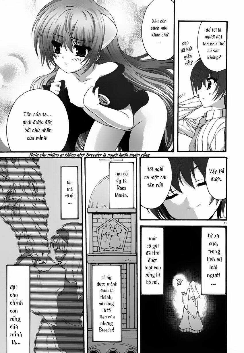 Seikoku No Dragonar Chapter 2 trang 12