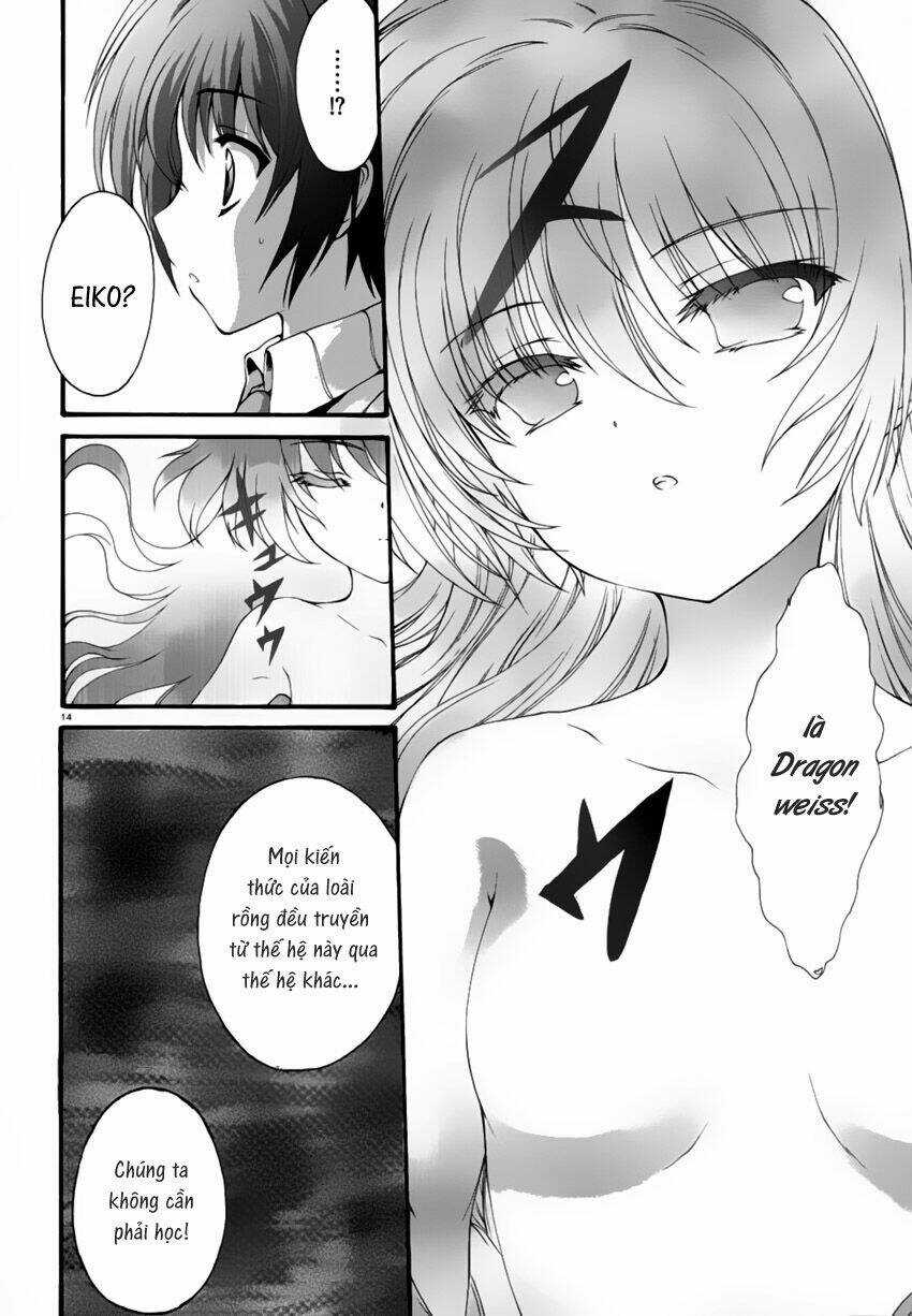 Seikoku No Dragonar Chapter 2 trang 15