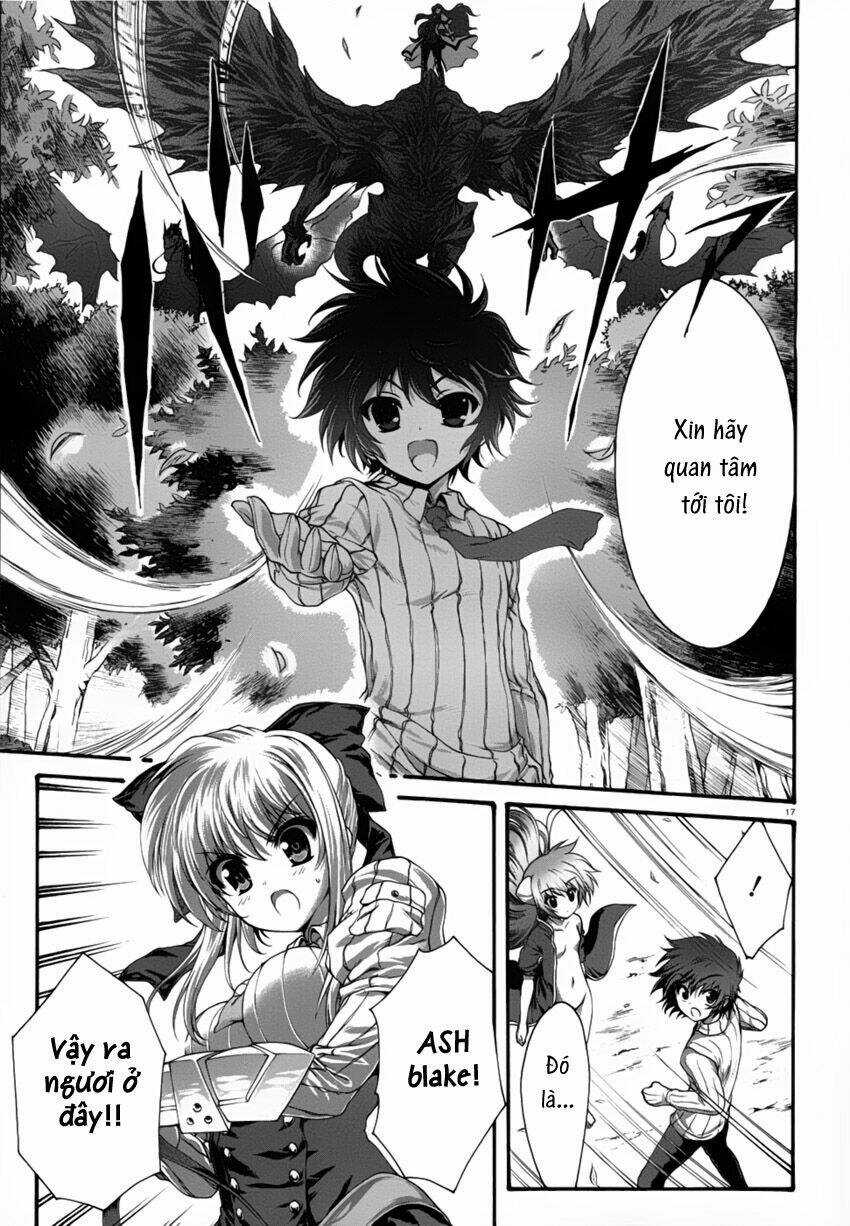 Seikoku No Dragonar Chapter 2 trang 18