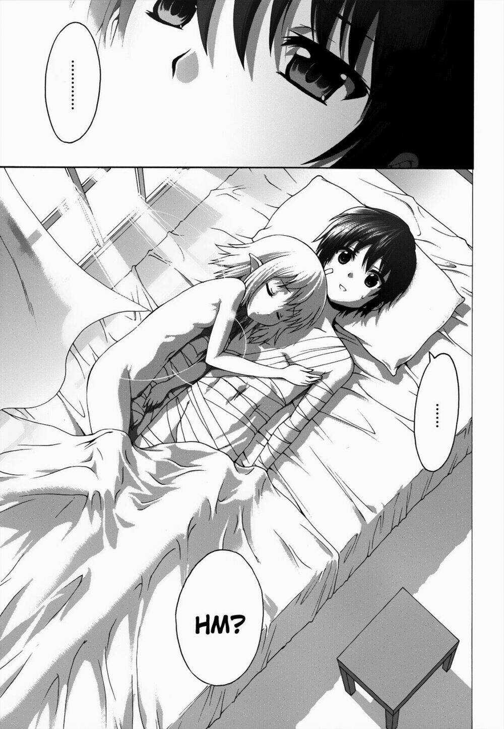 Seikoku No Dragonar Chapter 20 trang 13