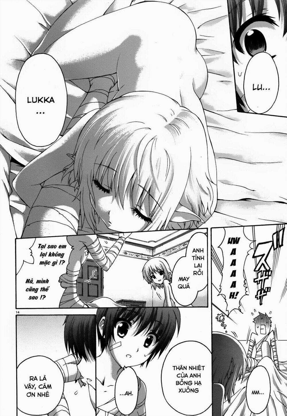 Seikoku No Dragonar Chapter 20 trang 14
