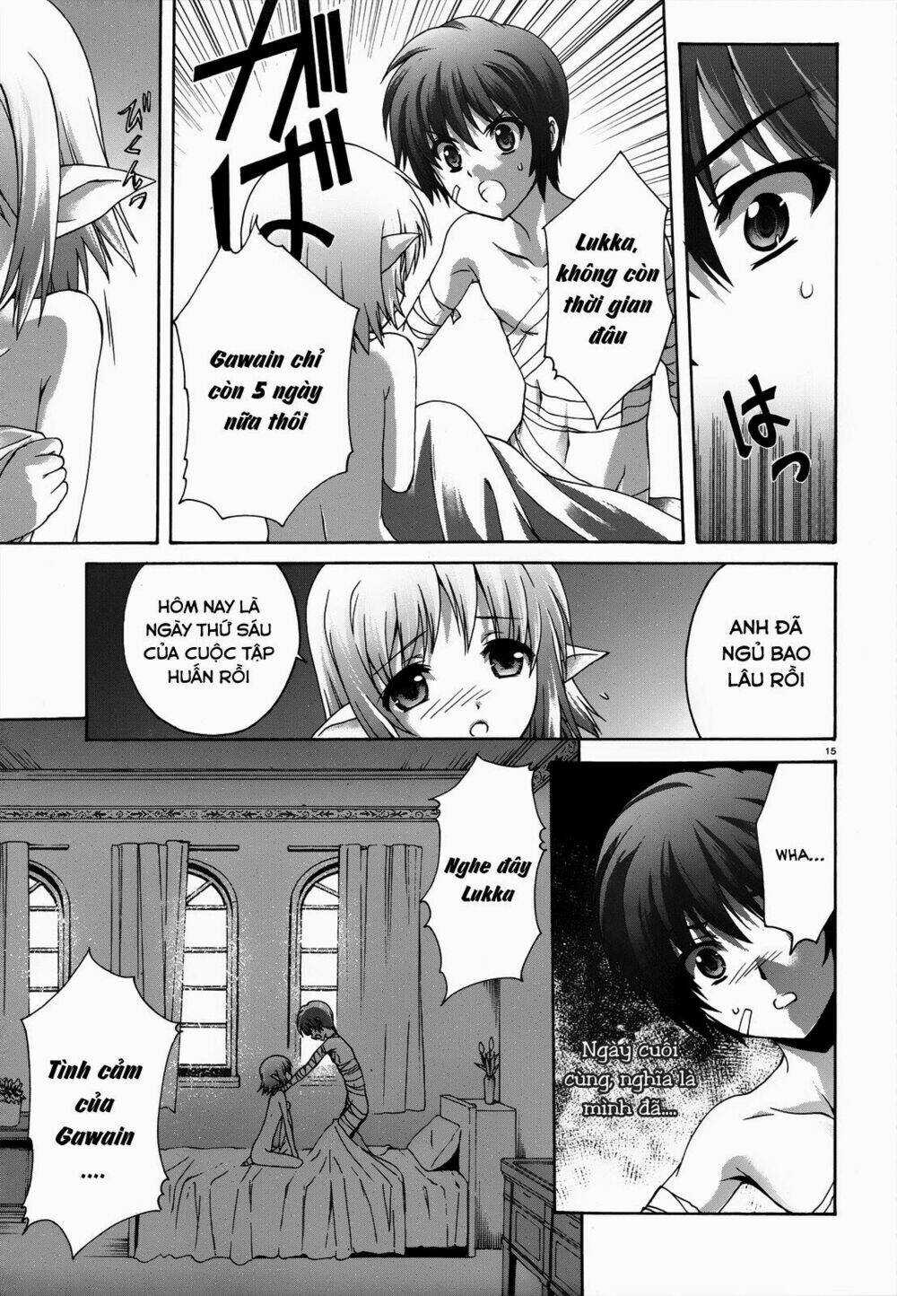 Seikoku No Dragonar Chapter 20 trang 15