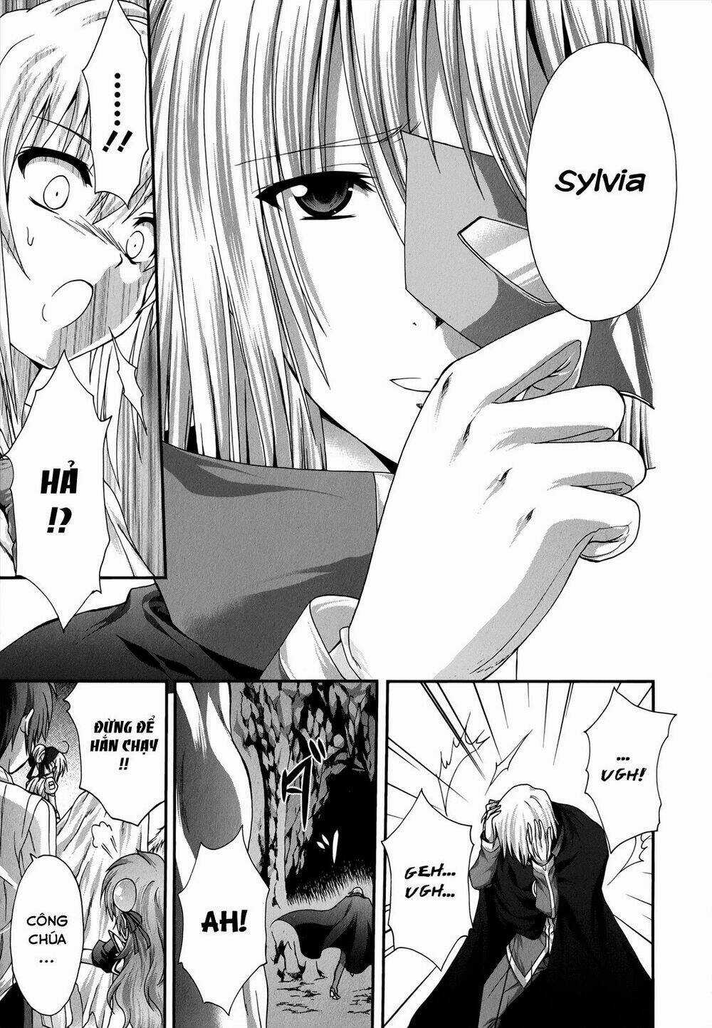 Seikoku No Dragonar Chapter 21 trang 17