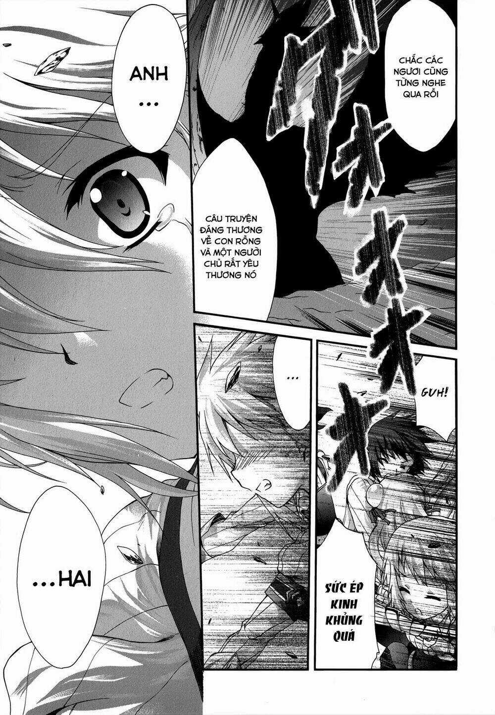 Seikoku No Dragonar Chapter 21 trang 27