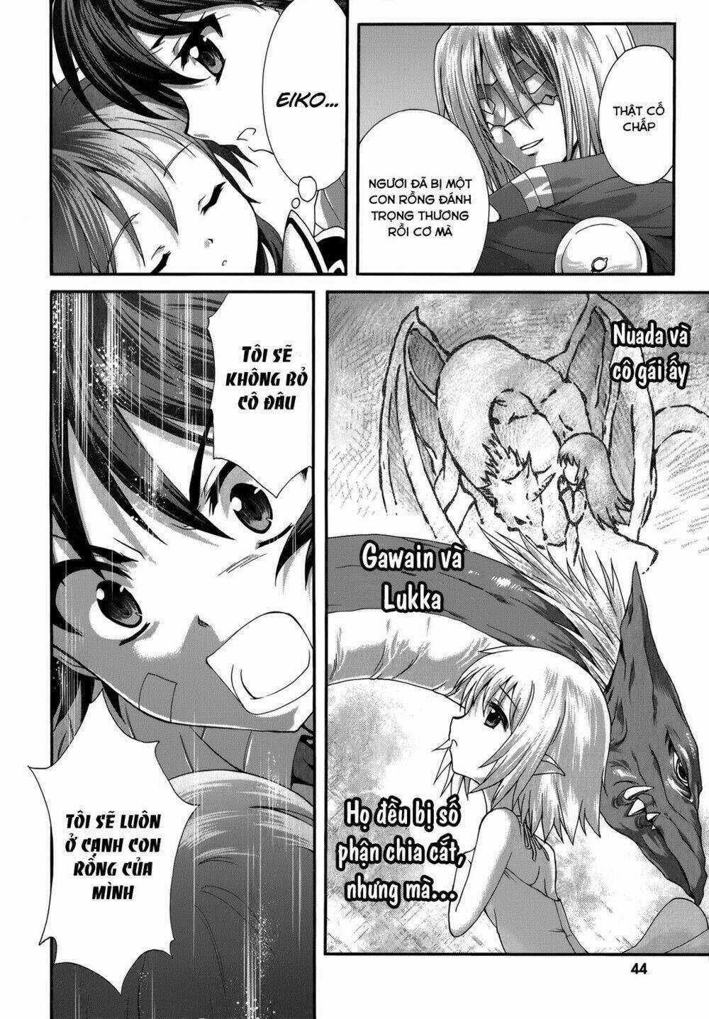 Seikoku No Dragonar Chapter 22 trang 11