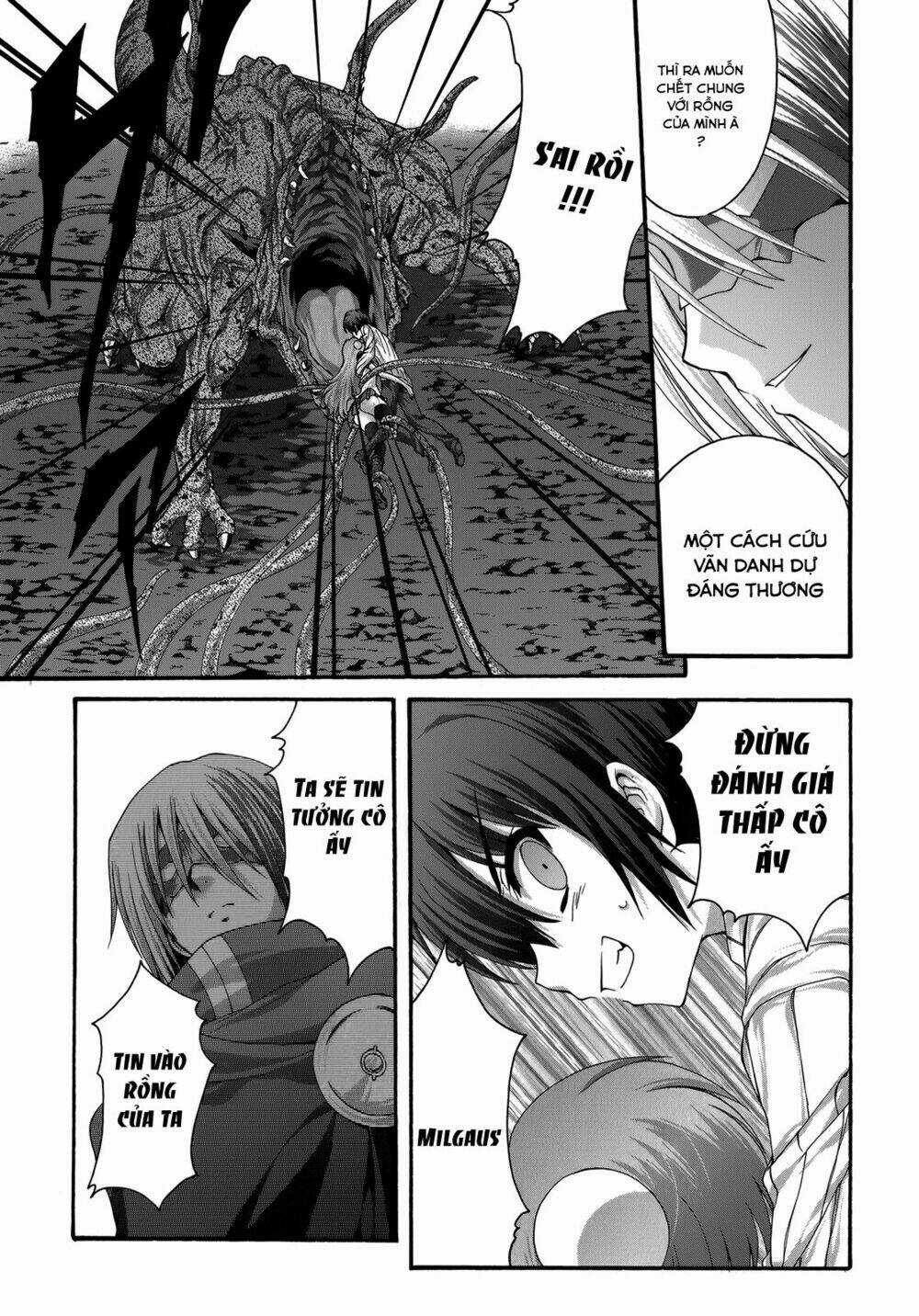 Seikoku No Dragonar Chapter 22 trang 12