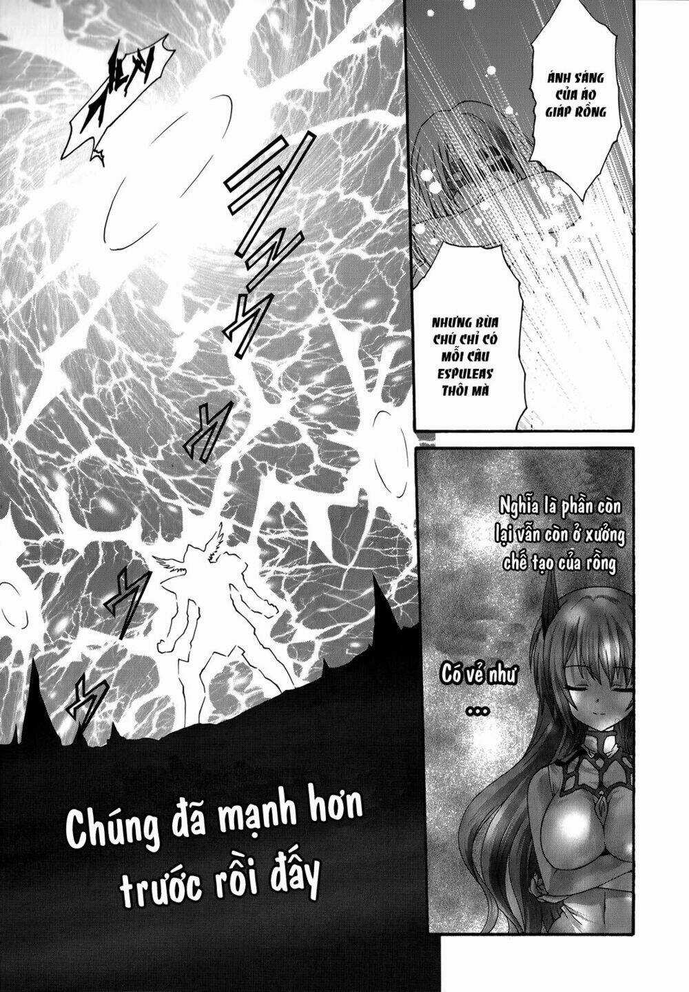 Seikoku No Dragonar Chapter 22 trang 18