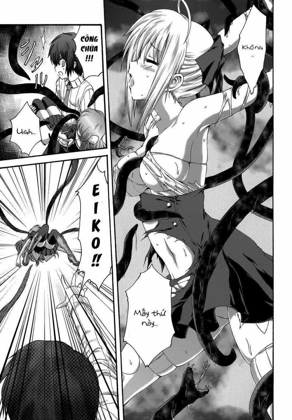 Seikoku No Dragonar Chapter 22 trang 8