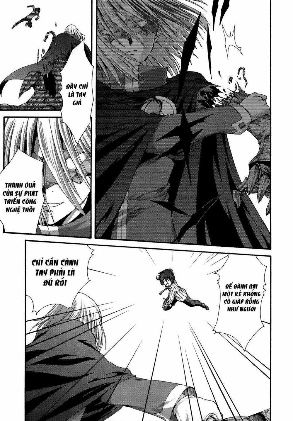 Seikoku No Dragonar Chapter 23 trang 10