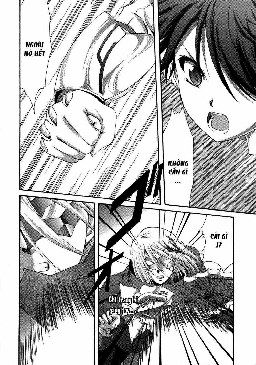 Seikoku No Dragonar Chapter 23 trang 11