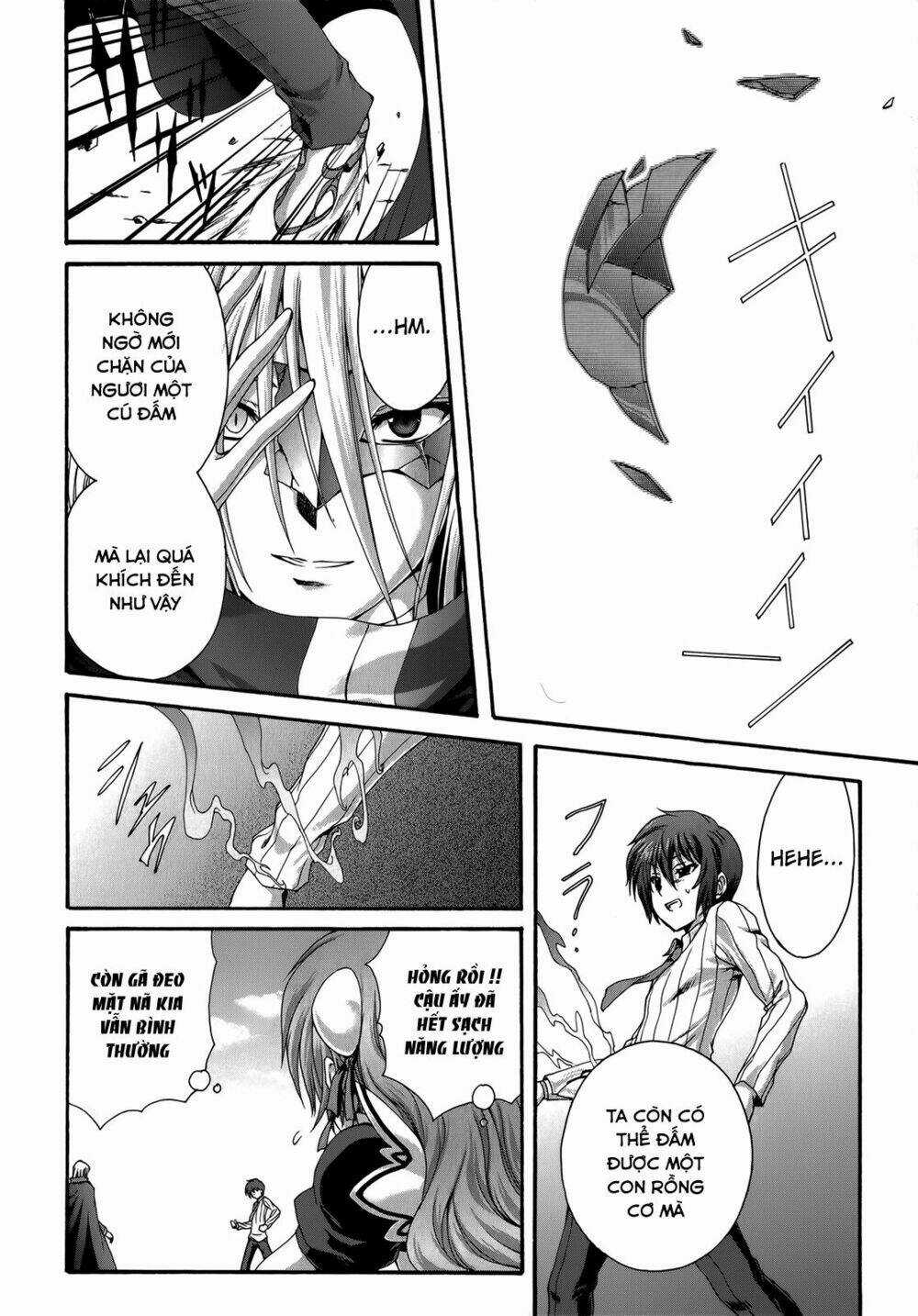 Seikoku No Dragonar Chapter 23 trang 13