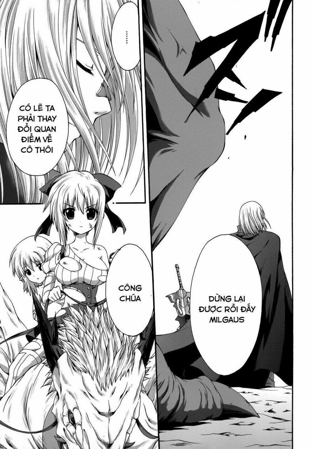 Seikoku No Dragonar Chapter 23 trang 14