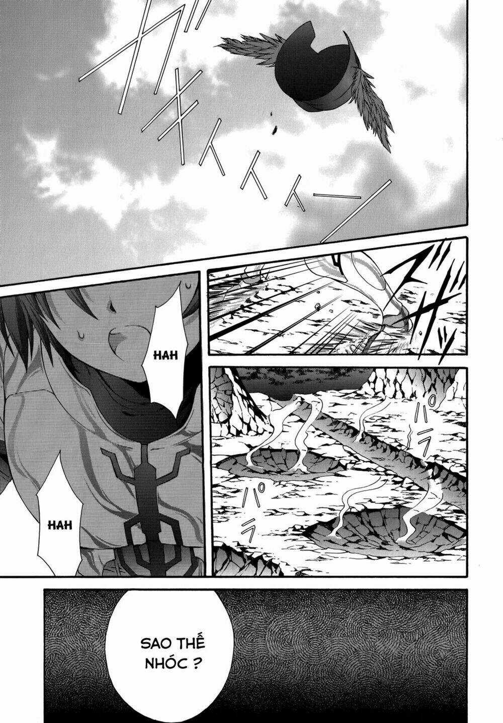 Seikoku No Dragonar Chapter 23 trang 2