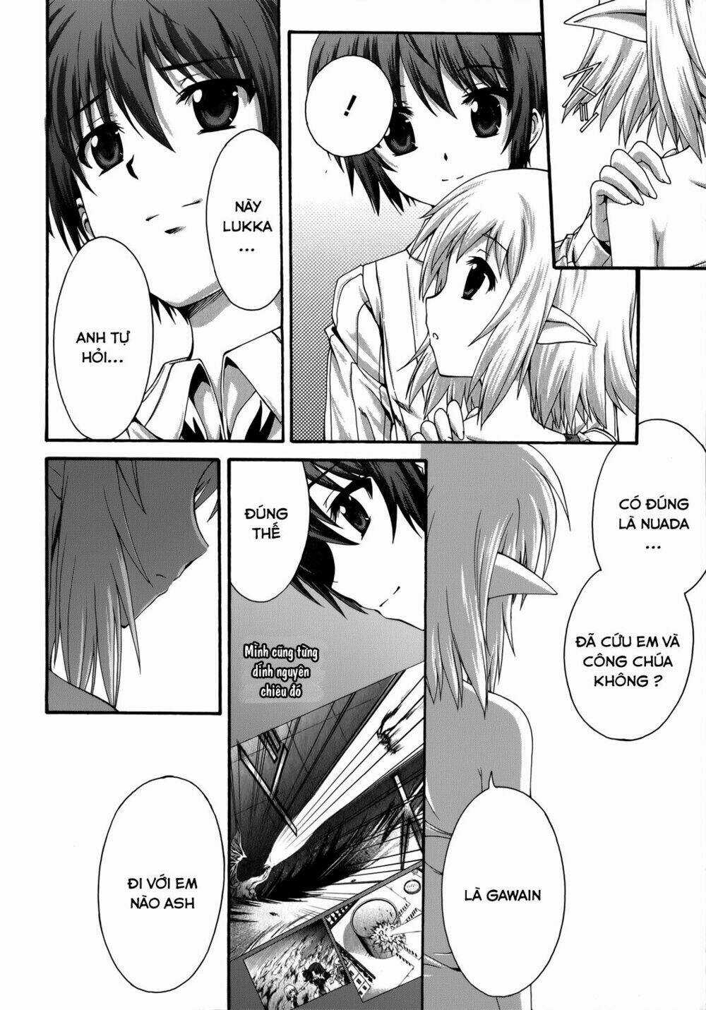 Seikoku No Dragonar Chapter 23 trang 21