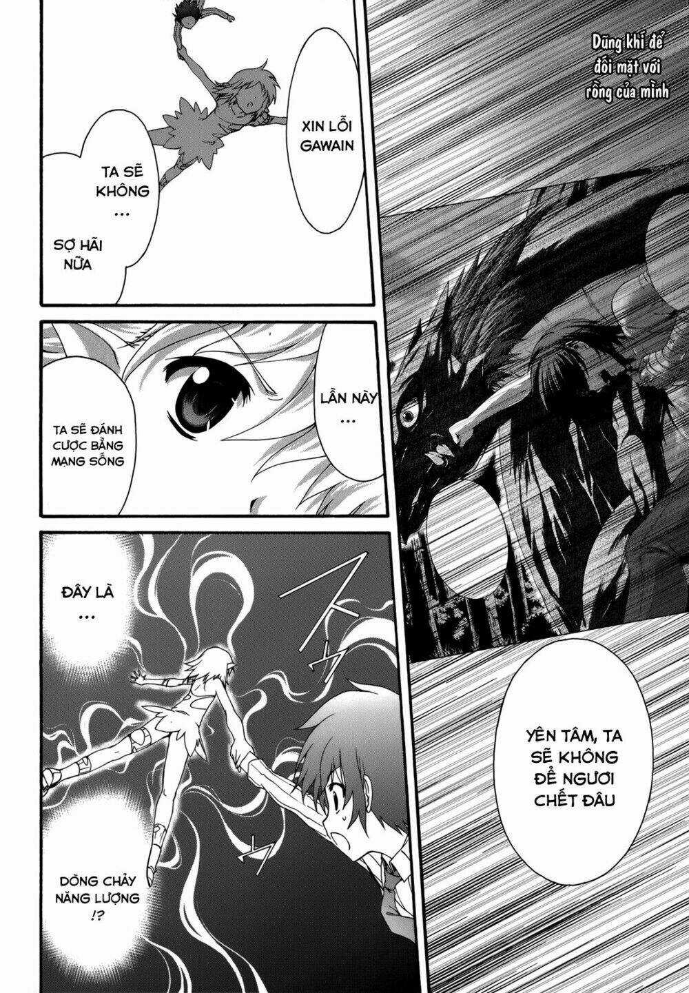 Seikoku No Dragonar Chapter 23 trang 23