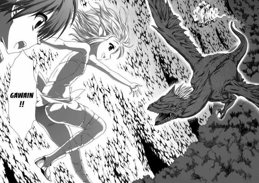 Seikoku No Dragonar Chapter 23 trang 25