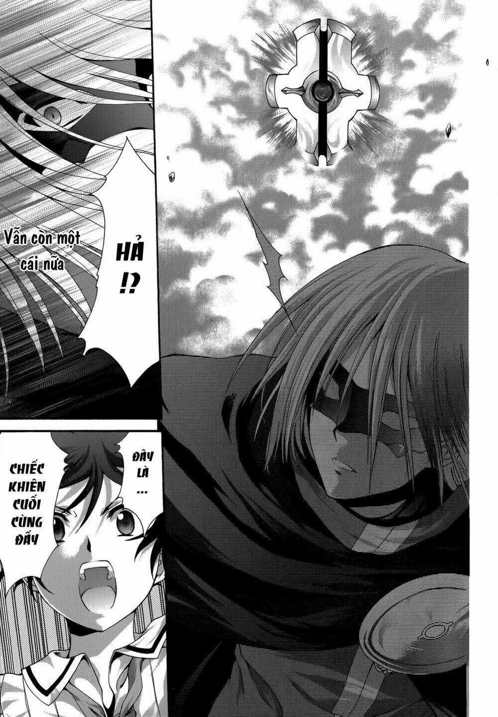 Seikoku No Dragonar Chapter 23 trang 8