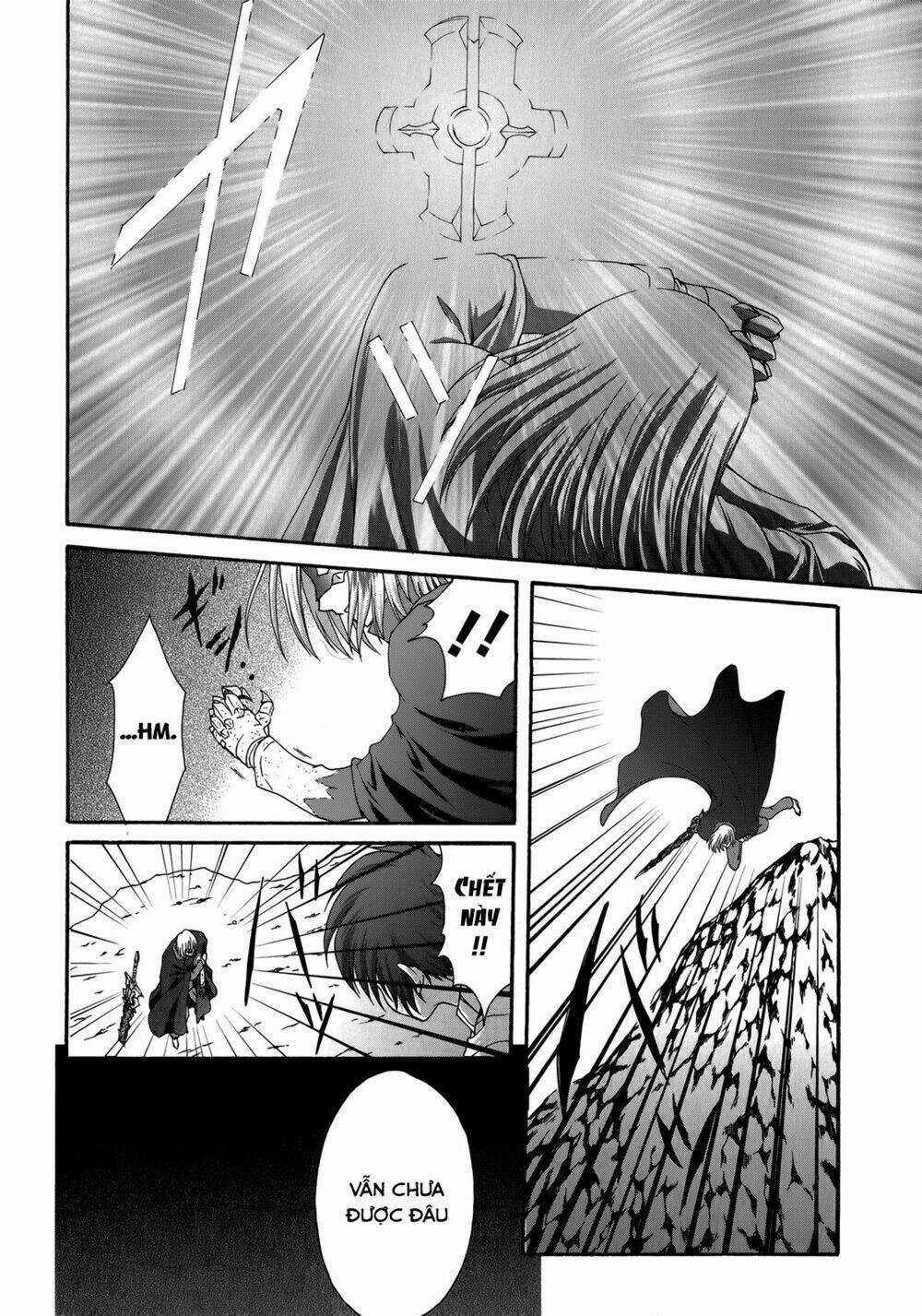 Seikoku No Dragonar Chapter 23 trang 9