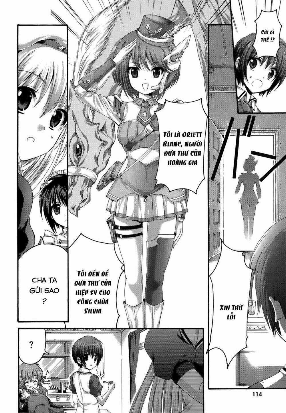 Seikoku No Dragonar Chapter 24 trang 11