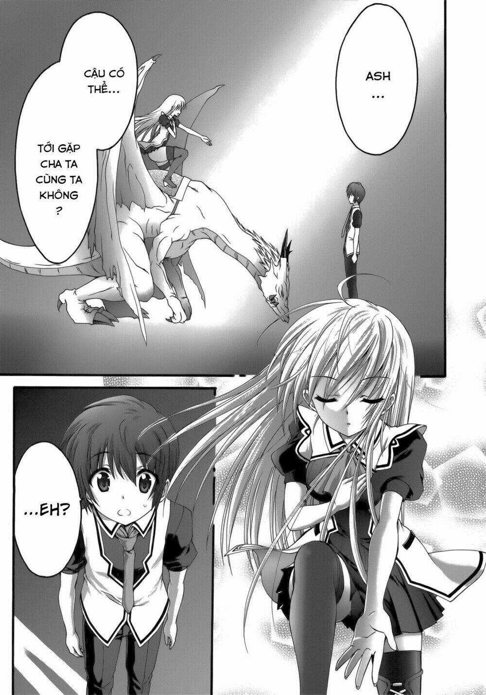 Seikoku No Dragonar Chapter 24 trang 2