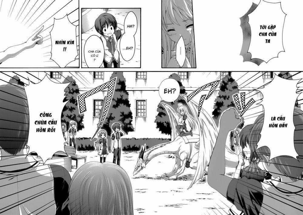 Seikoku No Dragonar Chapter 24 trang 23