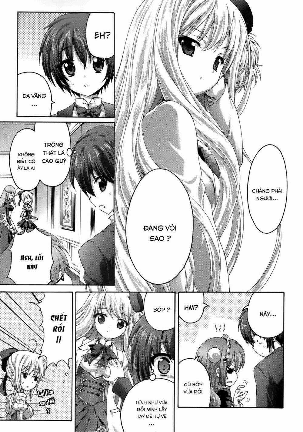 Seikoku No Dragonar Chapter 25 trang 11