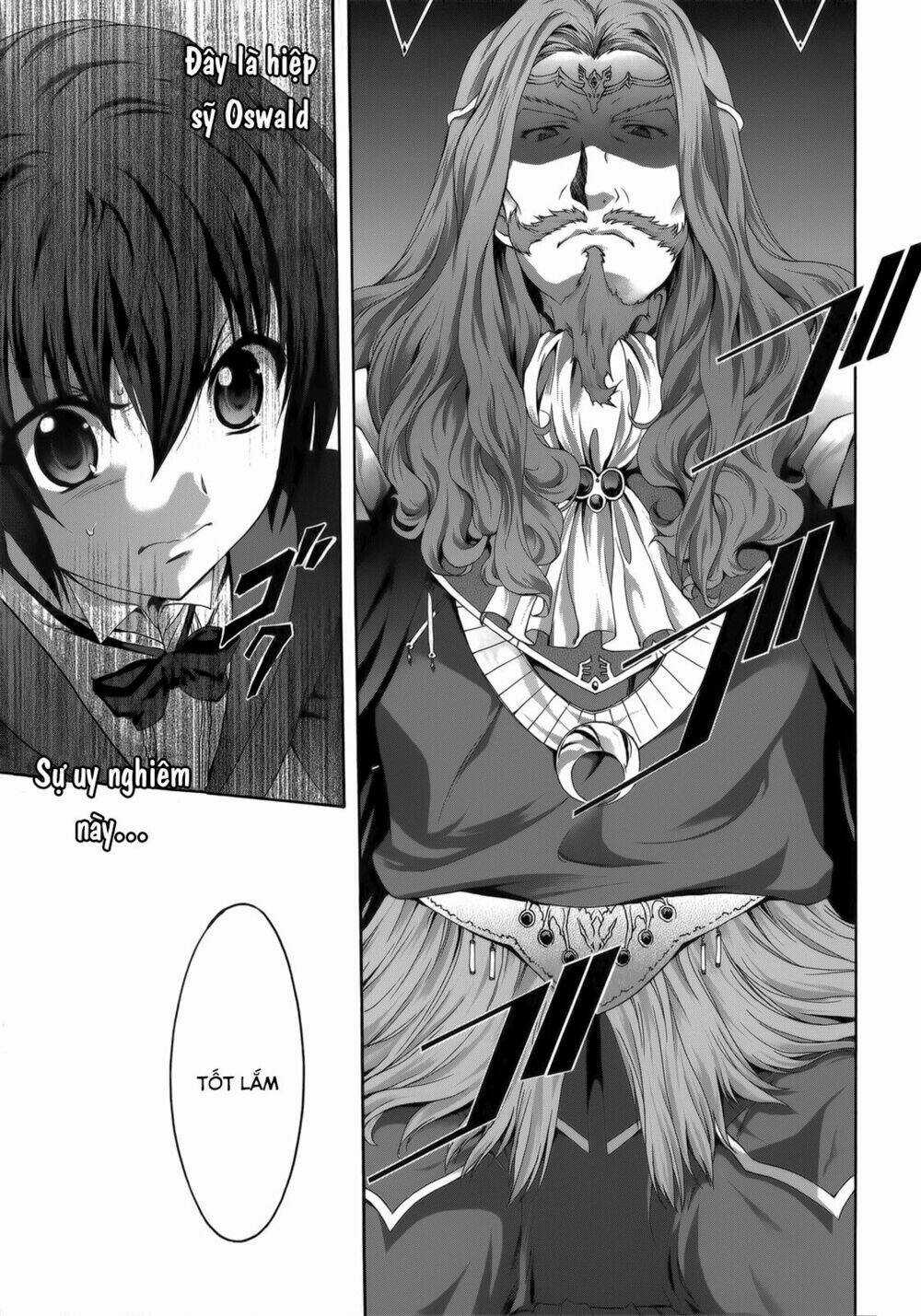 Seikoku No Dragonar Chapter 25 trang 13