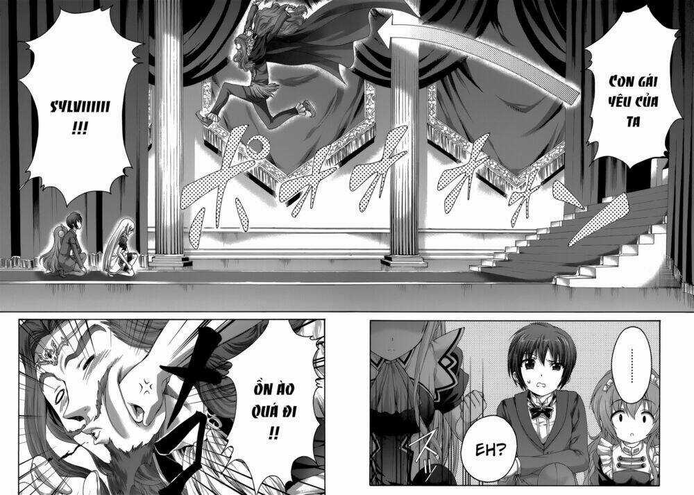 Seikoku No Dragonar Chapter 25 trang 14