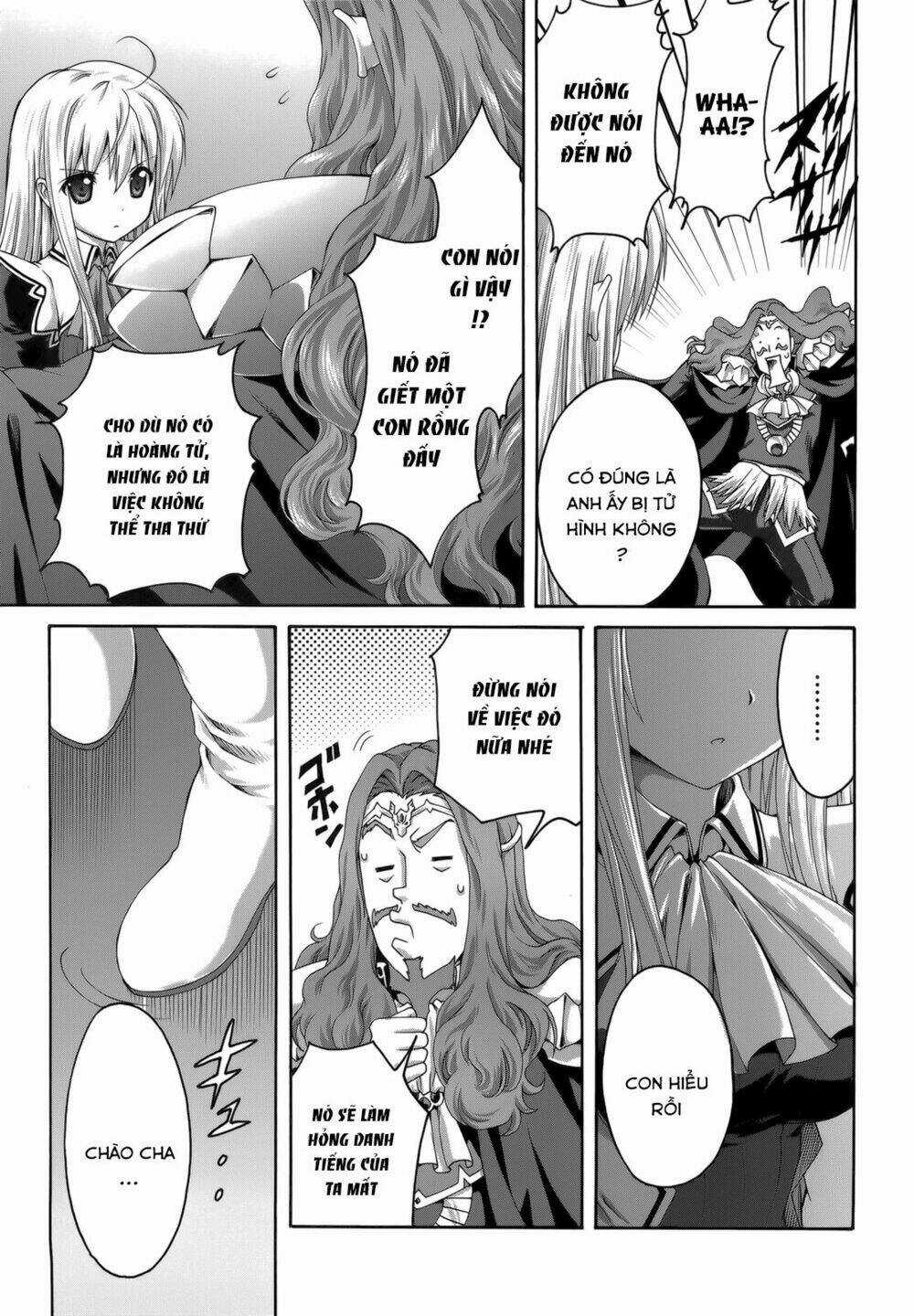 Seikoku No Dragonar Chapter 25 trang 26